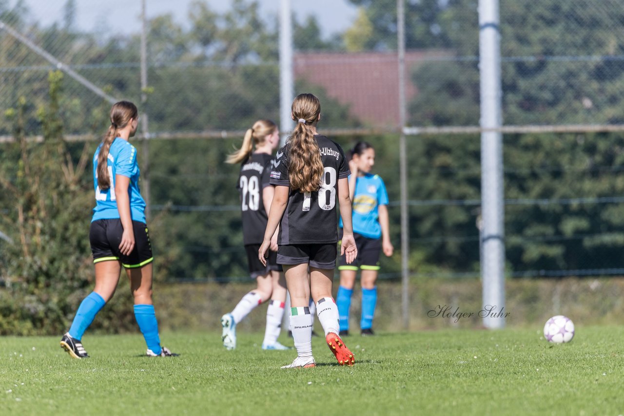 Bild 267 - wBJ SV Henstedt Ulzburg - FSG Oldendorf Itzehoe : Ergebnis: 2:5